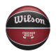 Wilson Μπάλα μπάσκετ NBA Team Tribute Chicago Bulls Outdoor
